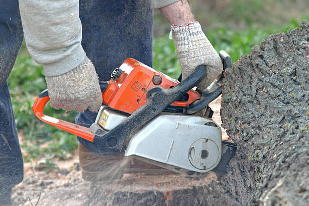 Soil Testing and Treatment in Roberta, GA